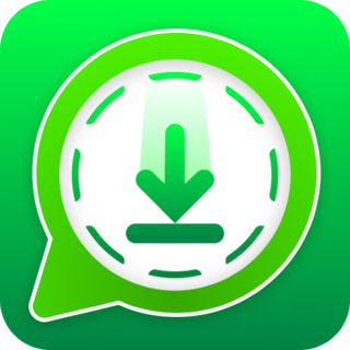 Save Status, Story Saver Icon