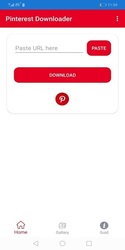 Downloader for Pinterest Screenshot 1