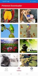 Downloader for Pinterest Screenshot 3