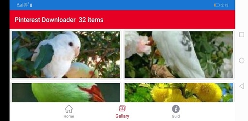 Downloader for Pinterest Screenshot 7