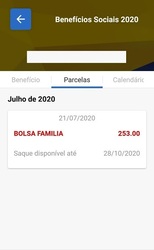 Consulta Benefícios Sociais 2020 Скриншот 3