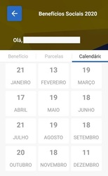 Consulta Benefícios Sociais 2020 Скриншот 4