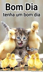 Bom dia Boa Tarde Toa Noite Скриншот 4