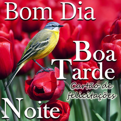 Bom dia Boa Tarde Toa Noite Скриншот 5