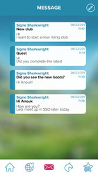 Star Stable Friends Screenshot 3