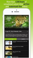 4K Nature Relax TV Скриншот 3