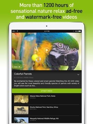 4K Nature Relax TV Скриншот 6