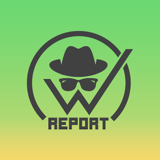 W-Report Icon