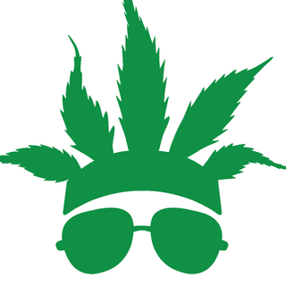CannaBuzz - 420 Friends APK