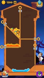 Home Pin: Pull The Pin Puzzle Screenshot 3