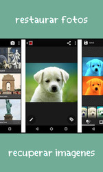 recuperar fotos apagadas : SD&CELULARE Screenshot 3