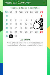 Calendário Brasil 2021 Grátis Screenshot 8