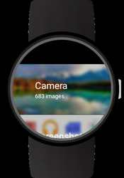 Photo Gallery for Wear OS (Android Wear) Скриншот 2
