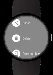 Photo Gallery for Wear OS (Android Wear) Скриншот 5