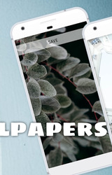 4K & HD Wallpapers Screenshot 3