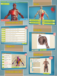 Easy Anatomy 3D(learn anatomy) Скриншот 1