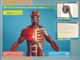 Easy Anatomy 3D(learn anatomy) Скриншот 2