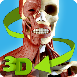 Easy Anatomy 3D(learn anatomy) Icon