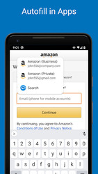 Password Manager SafeInCloud Pro Screenshot 4