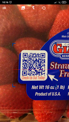 QR Code Reader Screenshot 3