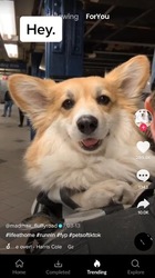 Скачать Видео из TikTok без Водяных Знаков - Tmate Скриншот 6