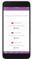 Virtual SIM (SMS) Screenshot 1