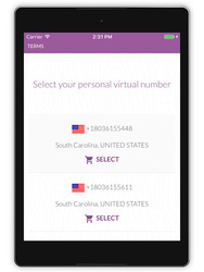 Virtual SIM (SMS) Screenshot 4