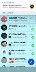 FF Meeting Screenshot 1