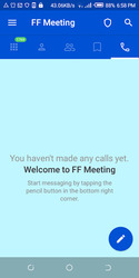 FF Meeting Screenshot 3