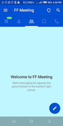 FF Meeting Screenshot 7