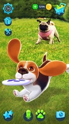 Tamadog - Puppy Pet Dog Games Screenshot 3