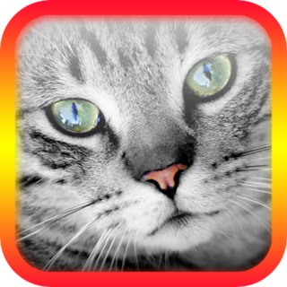 Translator for Cats Prank Icon