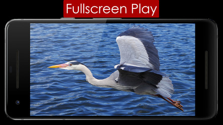 Play Lite Скриншот 5