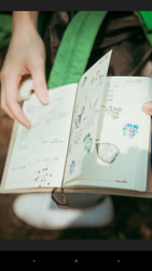 DS photo Скриншот 5