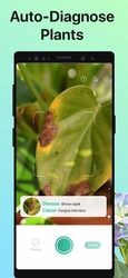 PictureThis растения признать Скриншот 4