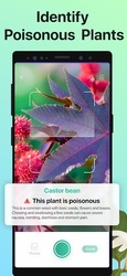 PictureThis растения признать Скриншот 6