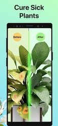 PictureThis растения признать Скриншот 7