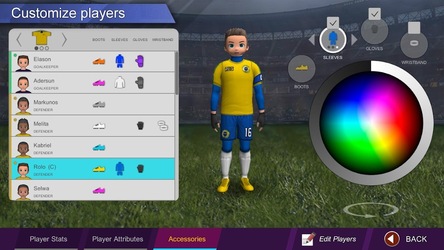 Pro League Soccer Screenshot 4