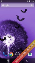 Одуванчик живые обои Скриншот 4