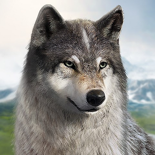 Wolf Game: Wild Animal Wars Иконка