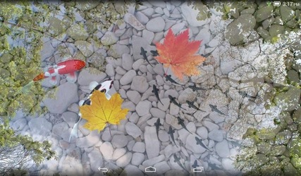 Живые обои с кои в пруду Скриншот 8