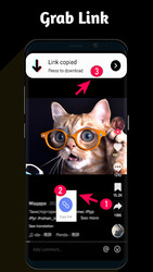Video Downloader for TT Screenshot 1