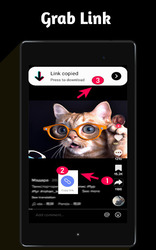 Video Downloader for TT Screenshot 5