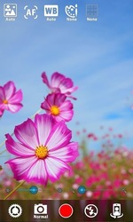 Silent Camera [High Quality] Screenshot 6