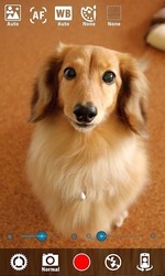 Silent Camera [High Quality] Screenshot 8