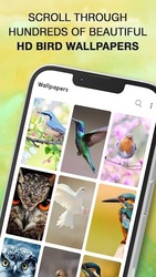 Bird Calls, Sounds & Ringtones Screenshot 5