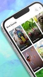 Bird Calls, Sounds & Ringtones Screenshot 7