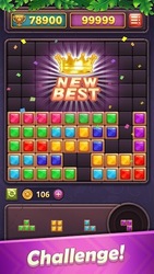 Block Puzzle Gem: Jewel Blast Screenshot 5