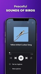 Рингтоны на телефон Скриншот 7