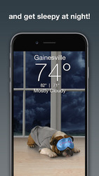 Weather Puppy - App & Widget Screenshot 3